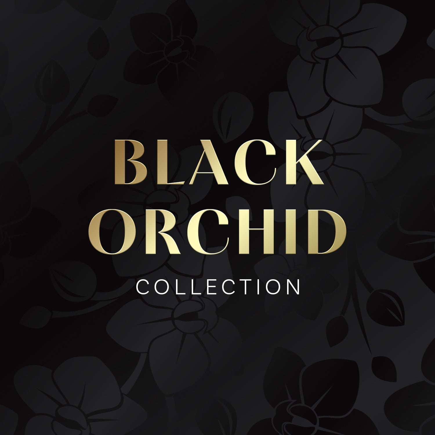 Black Orchid Collection